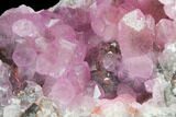 Cobaltoan Calcite Crystal Cluster - Bou Azzer, Morocco #133195-1